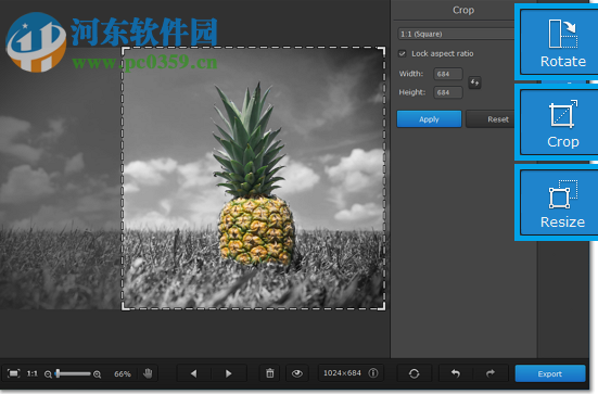 Movavi Photo Noir V1.0.2绿色版