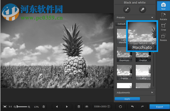 Movavi Photo Noir V1.0.2绿色版