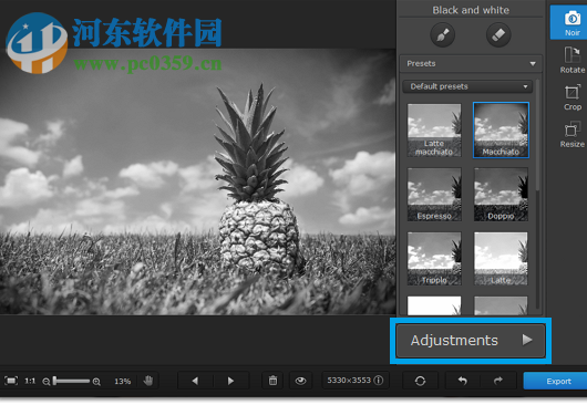 Movavi Photo Noir V1.0.2绿色版