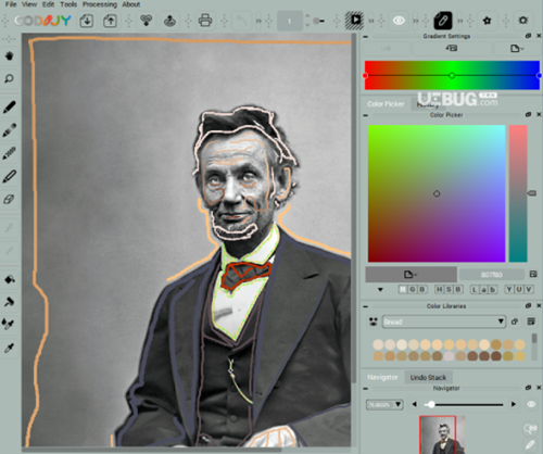 Colorizer Pro