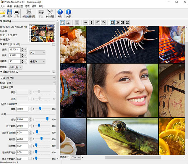 PhotoZoom v8.1.0免激活版