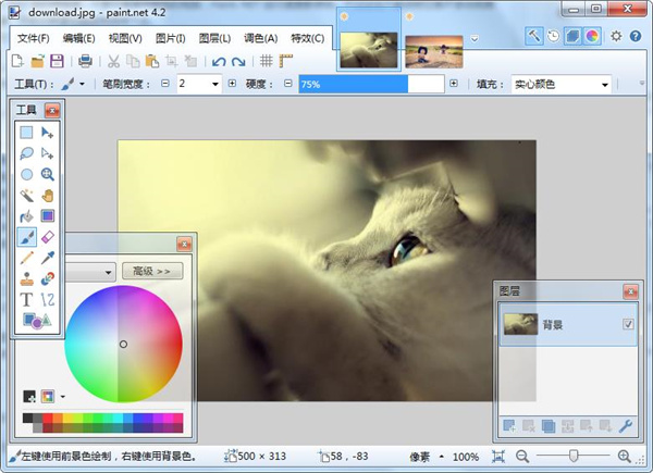 Paint.NET v4.2.14绿色版