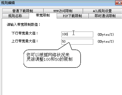 P2P终结者中文版