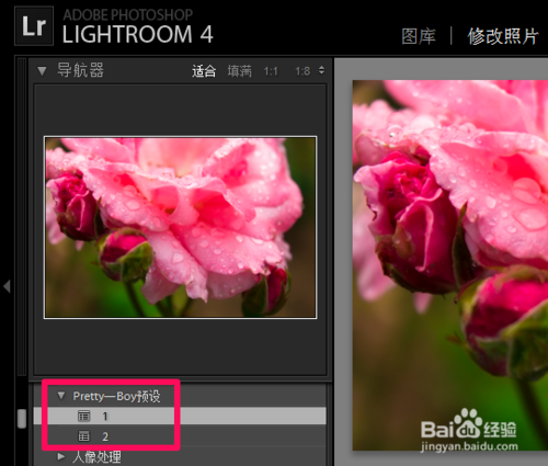 Adobe Lightroom CC 2019完整版