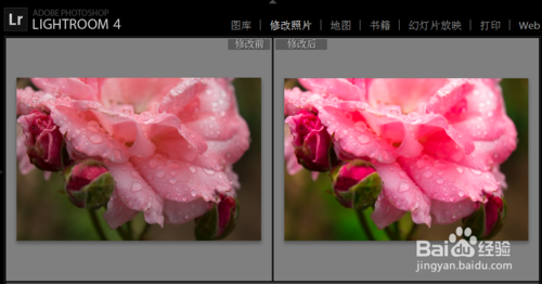 Adobe Lightroom CC 2019完整版