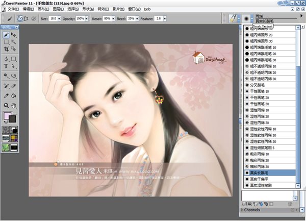 Corel Painter 11正式版