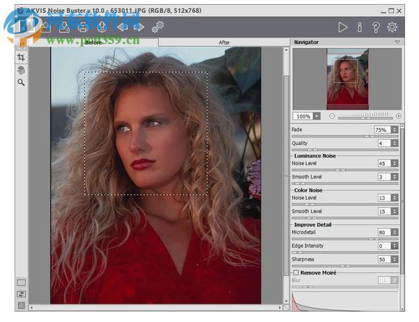 AKVIS Noise Buster v10.3中文版