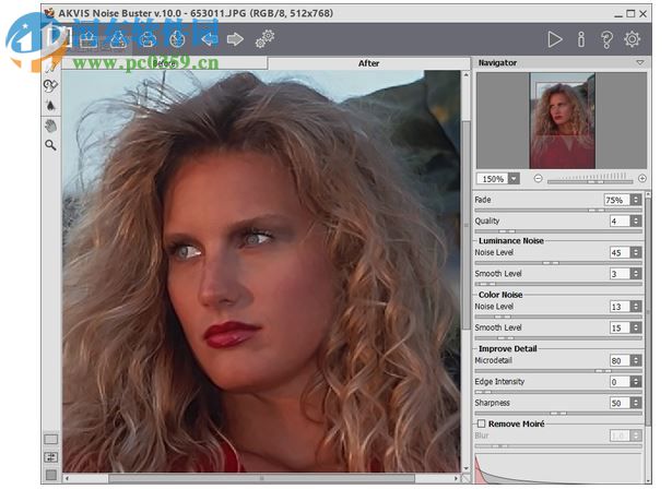AKVIS Noise Buster v10.3中文版