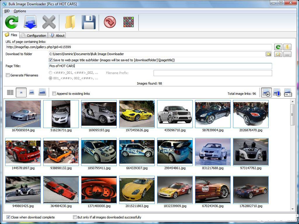 Bulk Image Downloader v6.01最新版