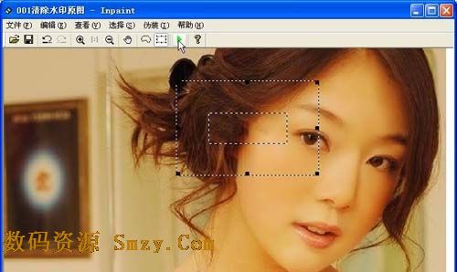 Teorex Inpaint v8.0 正式版